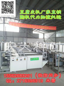 济南宏大科创2017新款豆腐皮机 价格解析与技术交流